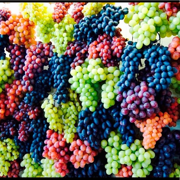 🦋SHOPTIME!🦋 - Picture 12 of 14